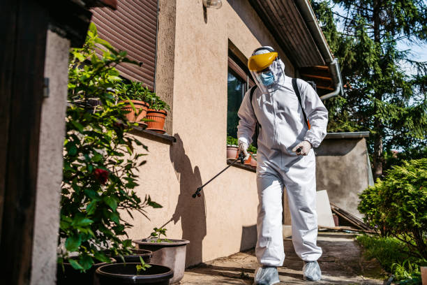 Best Pest Prevention Services  in Colquitt, GA