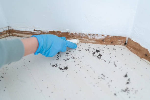 Best Best Pest Control Companies  in Colquitt, GA