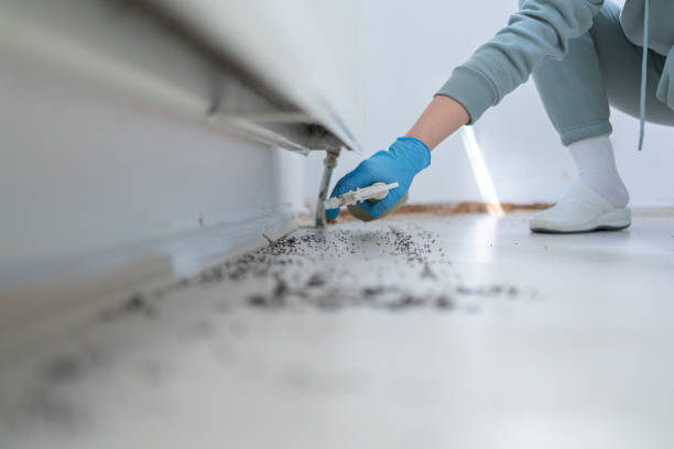 Best Pest Control Near Me in Colquitt, GA
